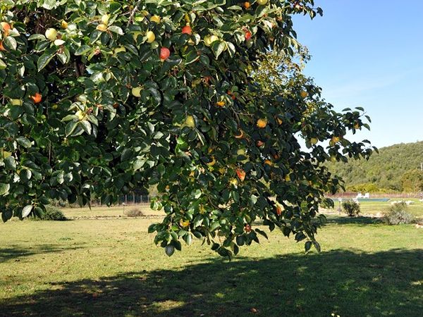 Cascatelle & Agriletizia - foto 32508.jpg