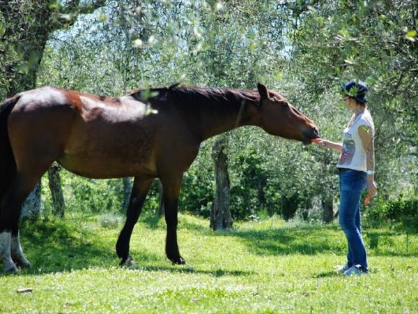 Agriturismo La Dogana - foto 32522.jpg