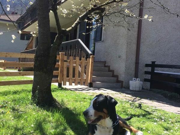 Casa... e Cuccia Lago di Ledro - foto 32526.jpg