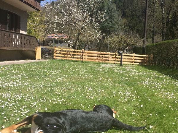 Casa... e Cuccia Lago di Ledro - foto 32528.jpg