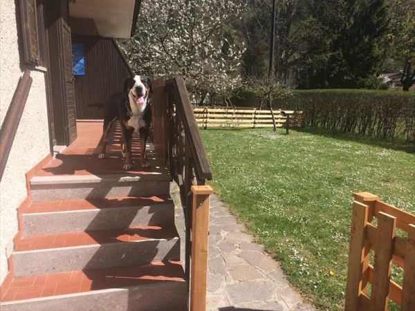 Casa... e Cuccia Lago di Ledro - foto 32552.jpg