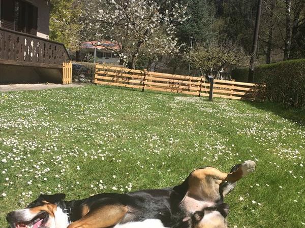 Casa... e Cuccia Lago di Ledro - foto 32560.jpg