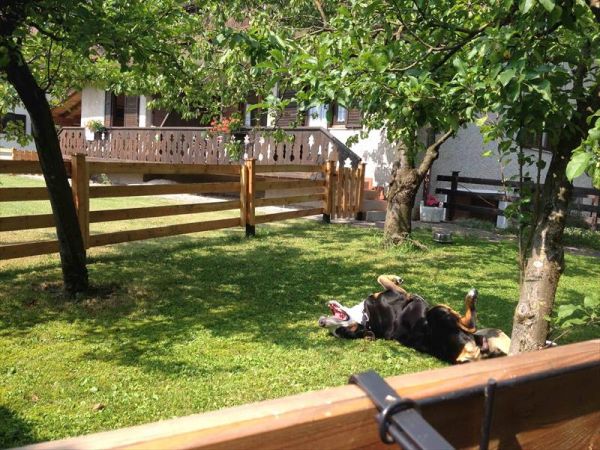 Casa... e Cuccia Lago di Ledro - foto 32562.jpg