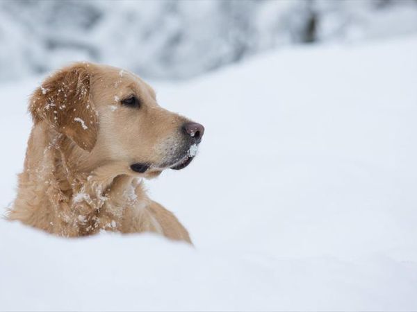Small & Lovely Hotel Zaluna - foto 32641.jpg