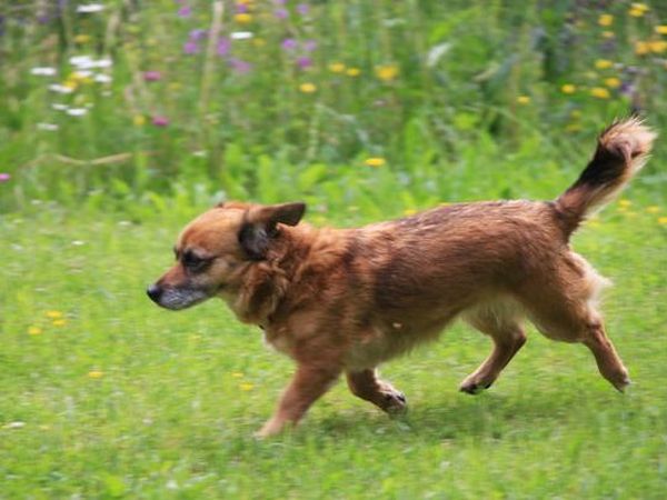 Agritur Manoncin - foto 32753.jpg