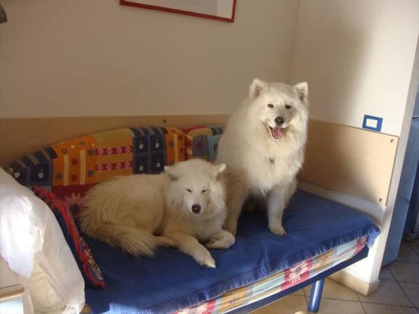 Michelangelo Hotel & Family Resort - foto 33030.jpg