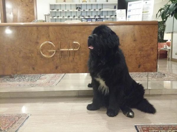 Grand Hotel Passetto - foto 33050.jpg