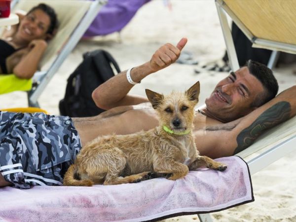 Tiliguerta Dog Beach  - foto 33206.jpg