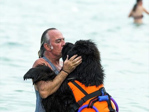 Tiliguerta Dog Beach  - foto 33208.jpg