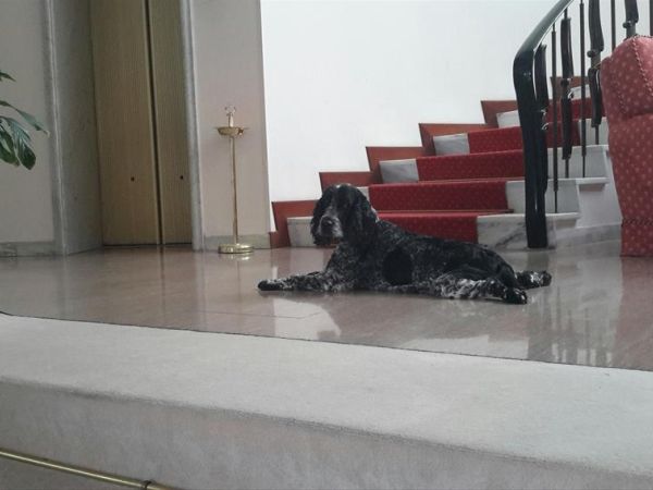 Grand Hotel Passetto - foto 33221.jpg