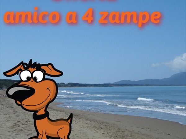 Residence Pineta - foto 33294.jpg