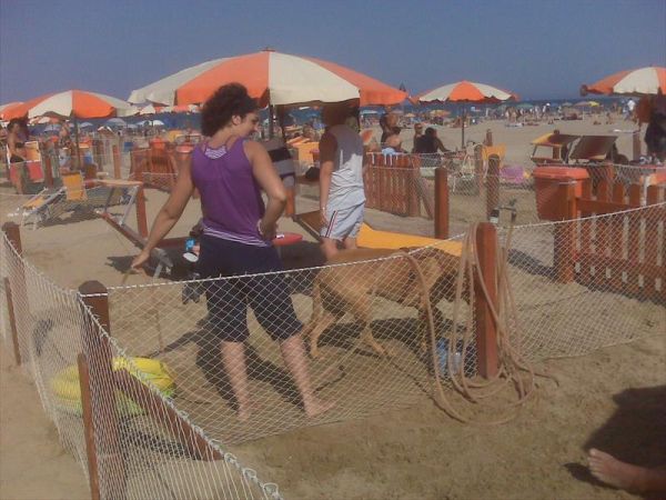 BAGNO 150 RIMINI - foto 33342.jpg