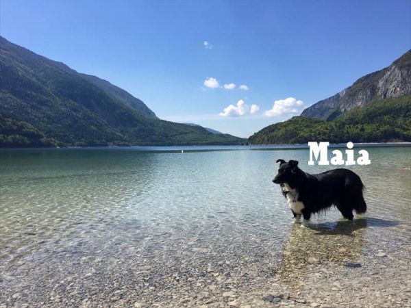 Alledolomiti Boutique Lake Hotel - foto 33454.jpg