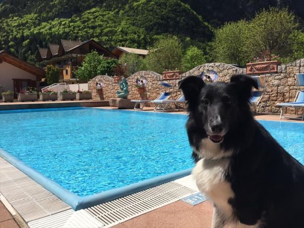 Alledolomiti Boutique Lake Hotel - foto 33460.jpg