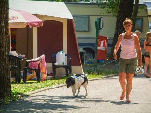 Campeggio al Lago - Lago di Ledro - foto 33481.jpg
