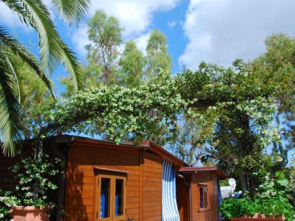 Camping Arrighi*** - foto 33564.jpg