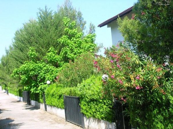 Villaggio Vacanze Parco Elena - foto 33567.jpg