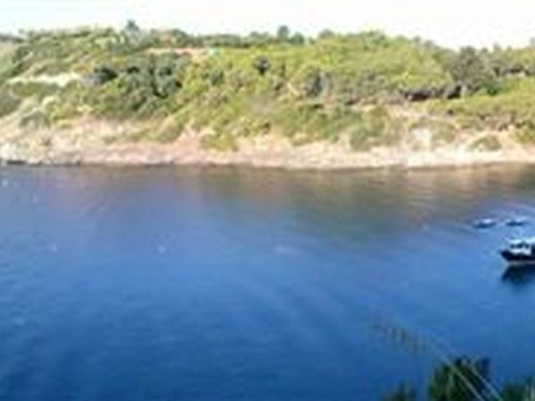 Camping Arrighi*** - foto 33572.jpg