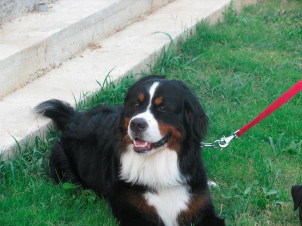 Il Villaggio del Re - foto 33603.jpg