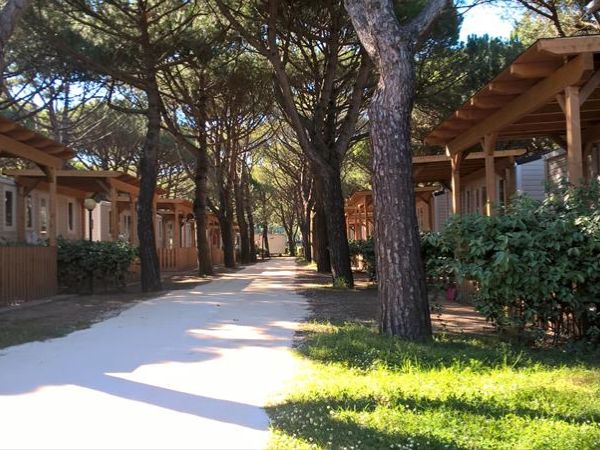 Camping Waikiki - foto 33610.jpg