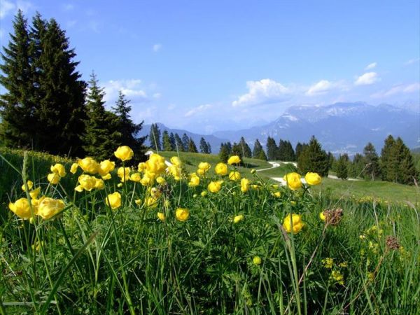 Albergo Cavallino Bianco - foto 33629.jpg