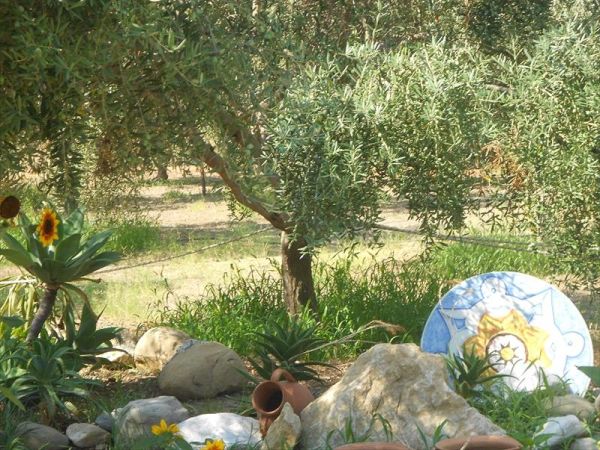 Medimare Residence Club - foto 33646.jpg