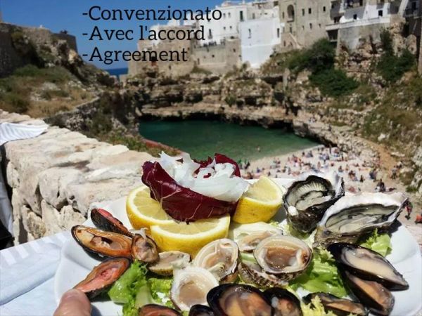 Vacanze in Puglia - foto 33684.jpg