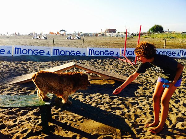 Baubeach Village - foto 33782.jpg