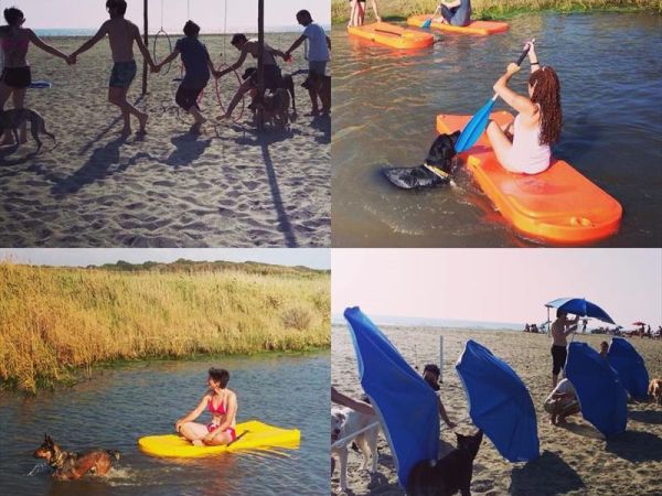 Baubeach Village - foto 33789.jpg