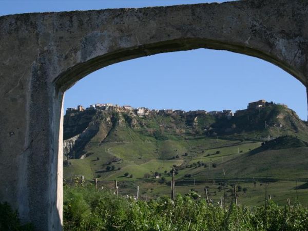 Agriturismo San Francesco - foto 33822.jpg