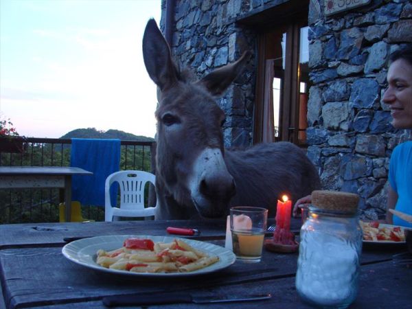 Azienda Agrituristica Ca Marcantonio - foto 33825.jpg