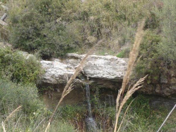 Agriturismo San Francesco - foto 33826.jpg