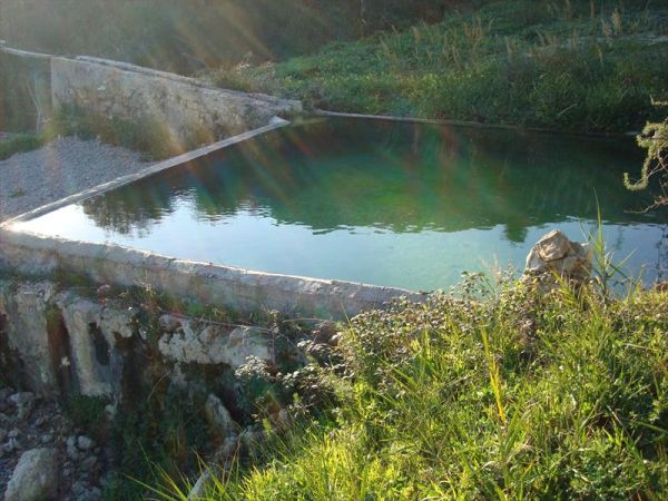 Agriturismo San Francesco - foto 33827.jpg