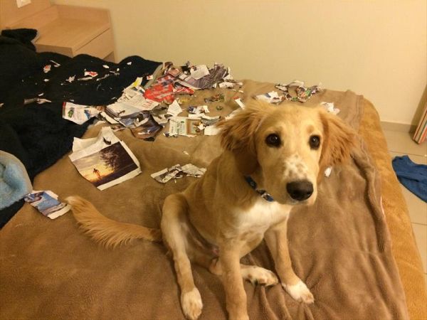 Hotel Lac Salin SPA & Mountain Resort - foto 33908.jpg