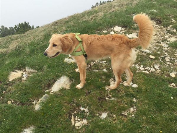 Hotel Lac Salin SPA & Mountain Resort - foto 33909.jpg