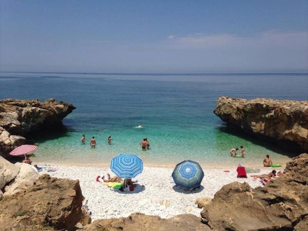 Fattoria Spezia - foto 33913.jpg