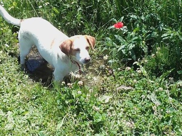 Agriturismo Acquaviva - foto 33984.jpg