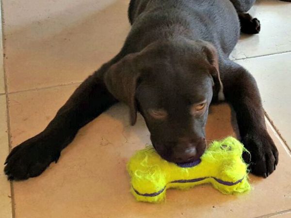 Hotel Residence Il Sogno - foto 33985.jpg