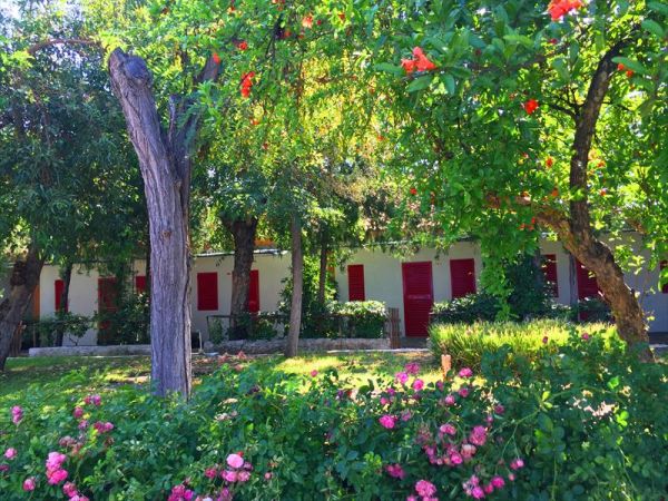 Park Village - foto 34060.jpg