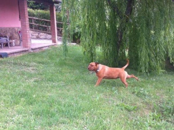 Il Feudo - foto 34191.jpg