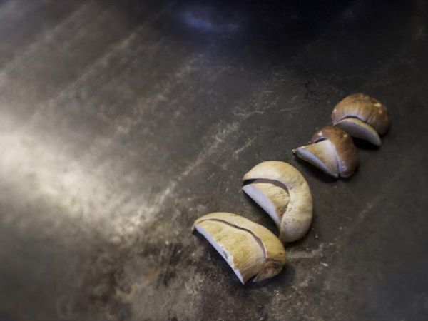 Pineta Naturalmente Hotels - foto 34201.jpg