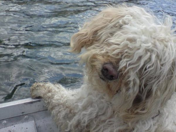 Hotel Sport - foto 34308.jpg