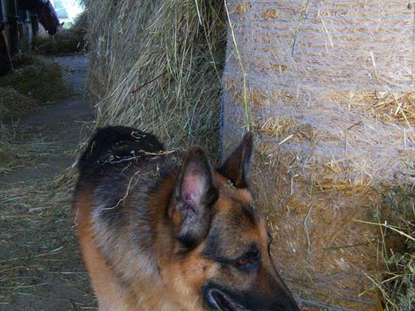Agriturismo Fontana delle Pere - foto 34315.jpg