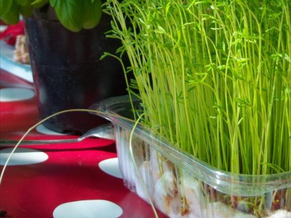 Agriturismo Fontana delle Pere - foto 34317.jpg