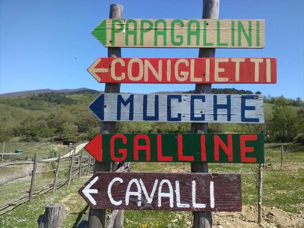 Agriturismo La Collina delle Stelle - foto 34373.jpg