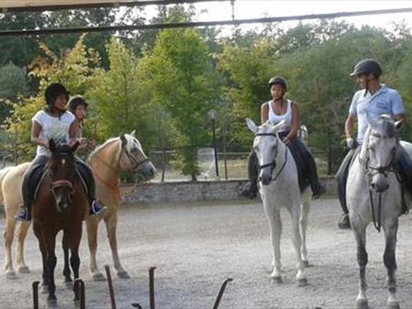 Agriturismo il Felcino - foto 34415.jpg