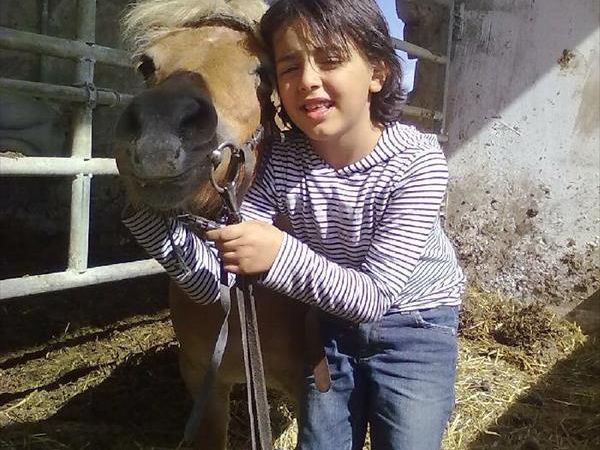 Agriturismo il Felcino - foto 34423.jpg