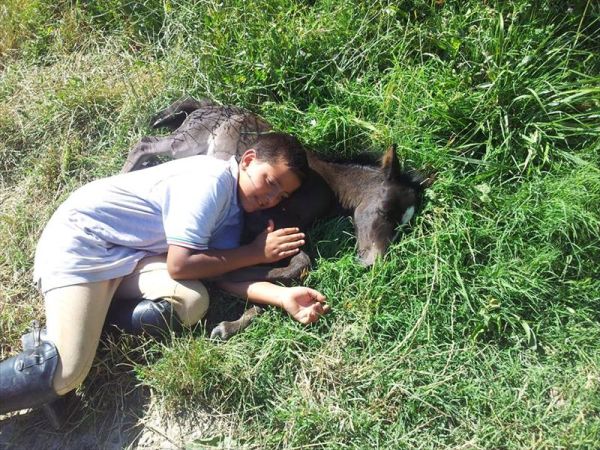 Agriturismo il Felcino - foto 34425.jpg