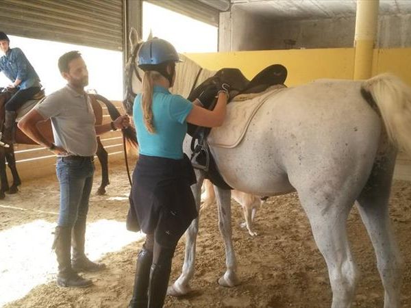 Agriturismo il Felcino - foto 34426.jpg