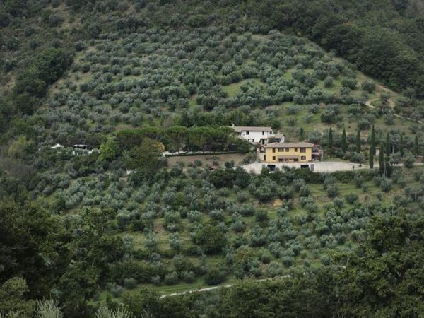 Agriturismo Il Sambro - foto 34436.jpg